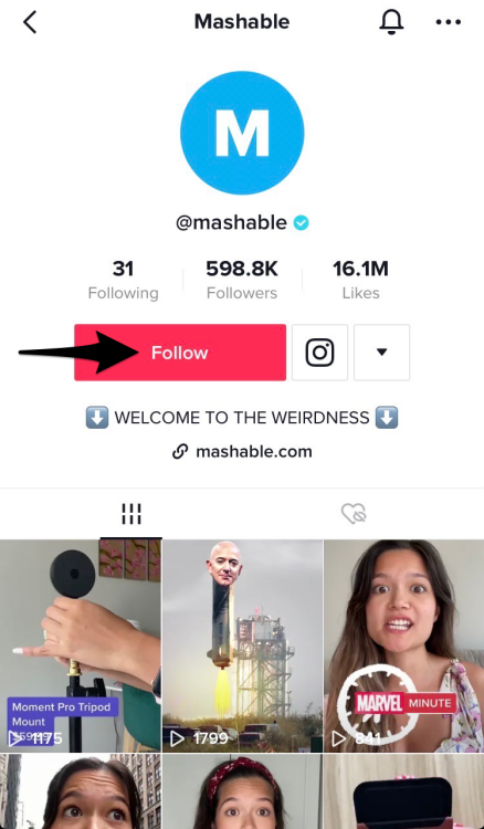 Mashable's TikTok profile page with the "Follow" button highlighted. 