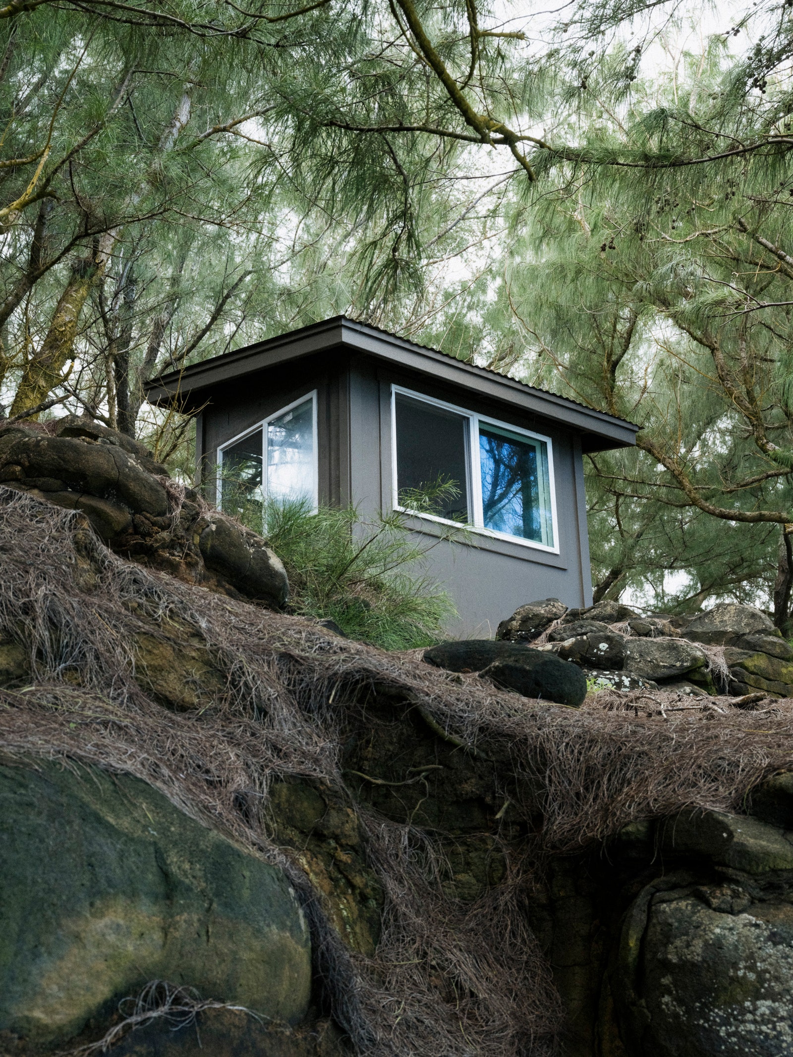 Grey wooden shack with windows on a hill with trees and rocks