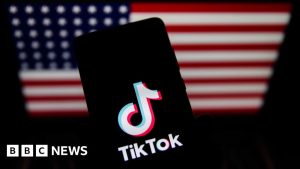 TikTok says it will 'go dark' on Sunday without US government action