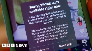 TikTok goes offline in the US hours before ban due to come in