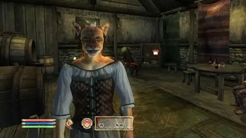 Bethesda A screenshot from the original Oblivion. A cat-like character stands in a tavern. The graphics are typical of the early to mid 2000s - basic, rough 3D models.