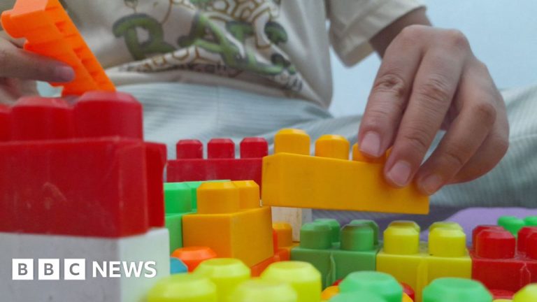 Two arrested over cyber-attack on nursery chain