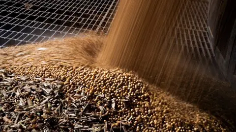 Getty Images Soybeans pour through a metal grating as they are unloaded.