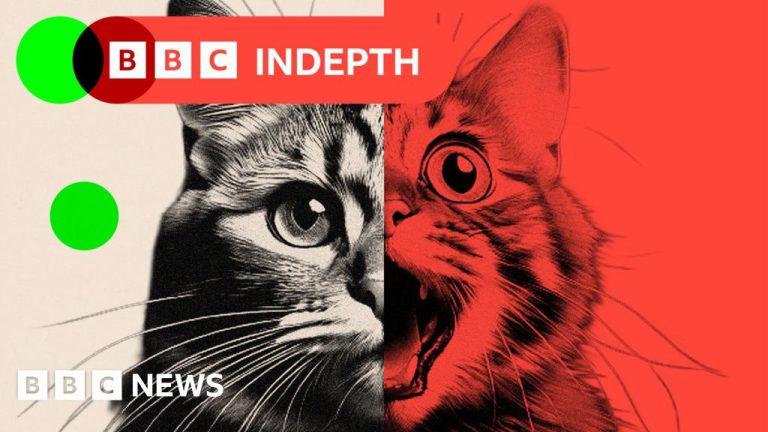 AI 'slop' is transforming social media – and a backlash is brewing