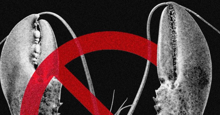 Meta and Other Tech Firms Put Restrictions on Use of OpenClaw Over Security Fears